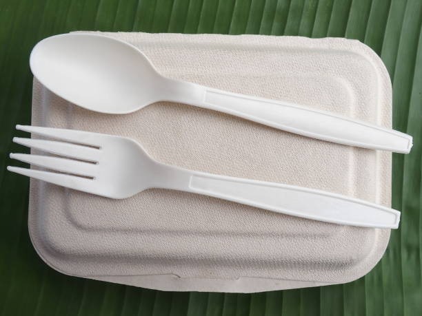Bioplastic Malaysia for Sustainable Packaging and Industrial Applications